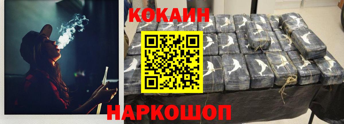 COCAIN Fish Scale  Вход с VPN  COCAIN Fish Scale  Шелехов 
