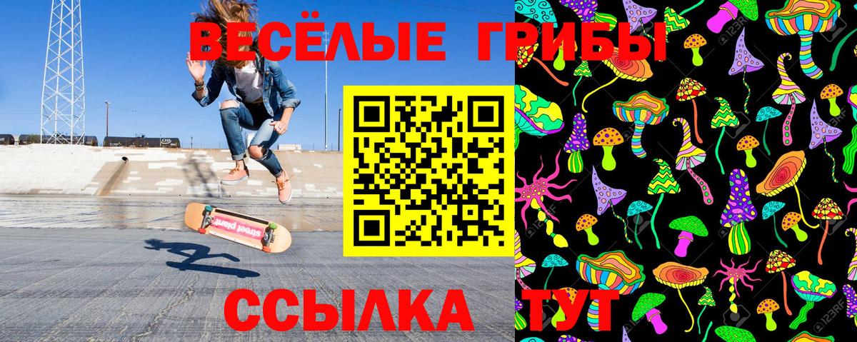 Шелехов  Галлюциногенные грибы ЛСД  Вход с VPN  Галлюциногенные грибы прущие грибы 